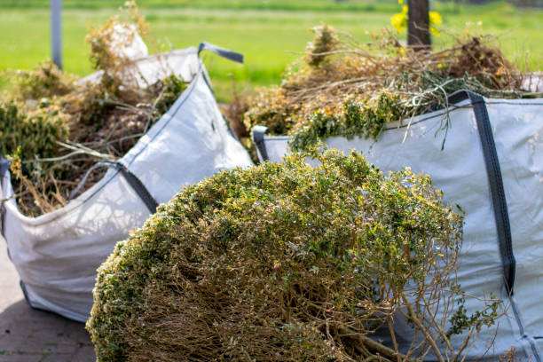 Best Electronics and E-Waste Disposal  in Daytona Beach, FL